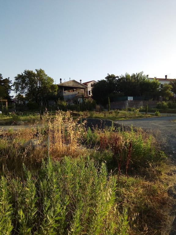 Carlo'S Country House Castellina Marittima Exterior photo